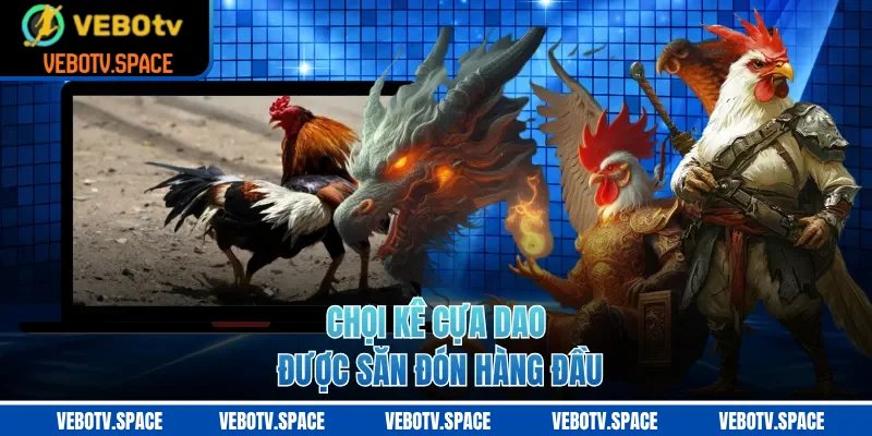 Chọi kê cựa dao được săn đón hàng đầu