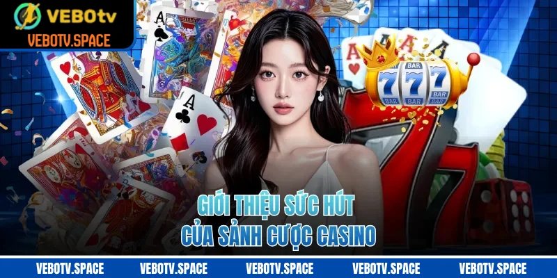 Giới thiệu sức hút của sảnh cược casino