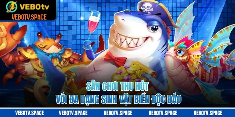 Sân chơi thu hút với đa dạng sinh vật biển độc đáo