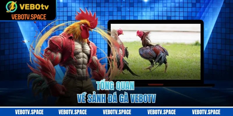 Tổng quan về sảnh đá gà VEBOTV